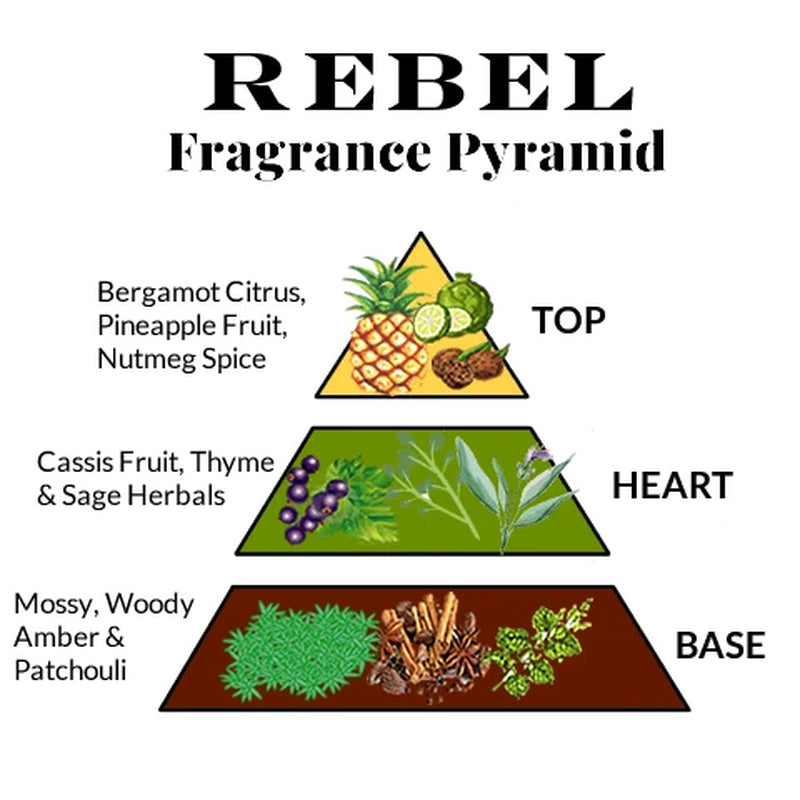 REBEL EDP